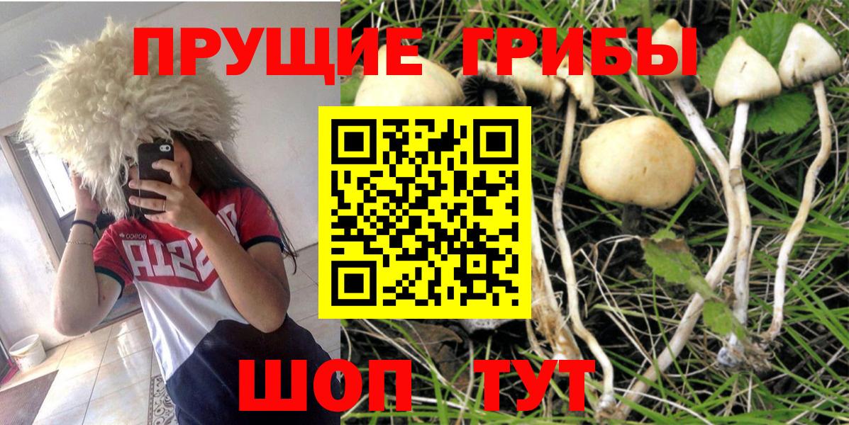 Галлюциногенные грибы прущие грибы Троицк